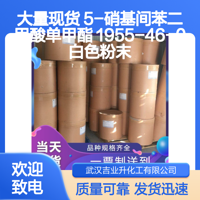 大量现货 5-硝基间苯二甲酸单甲酯 1955-46-0 白色粉末