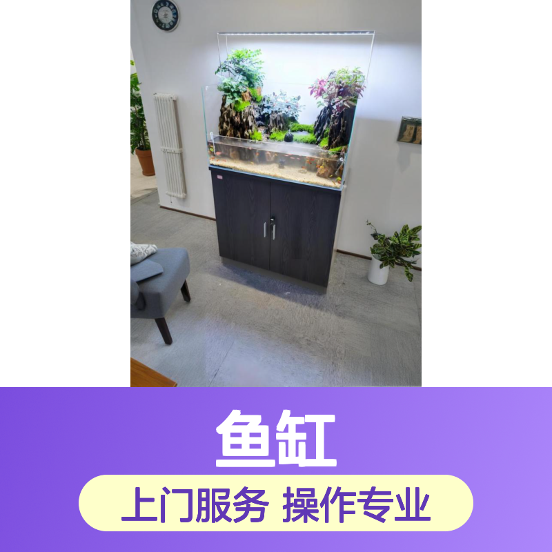 鱼缸护理清洗服务 定期上门清理 维护设备 消毒防御 南韵竹风