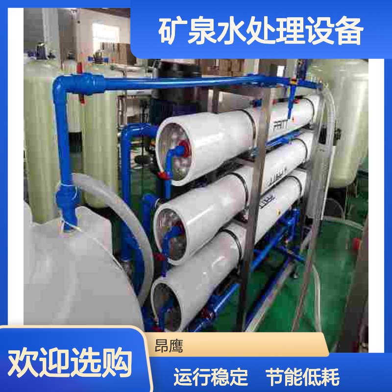 304不锈钢矿泉水处理设备 反渗透超滤无菌灌装 厂家批发