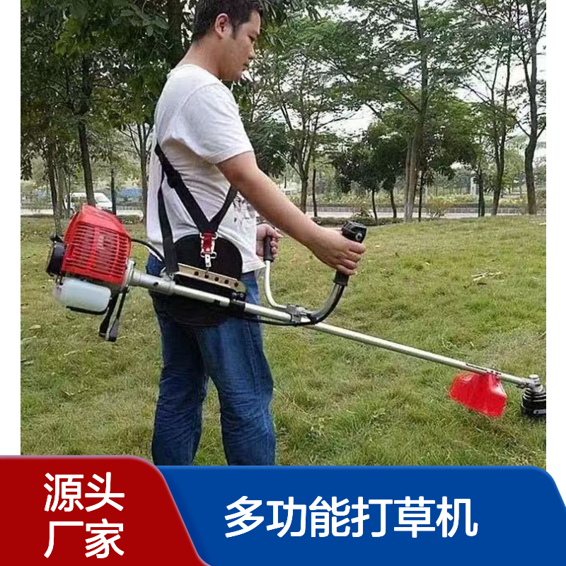 立安家用背负侧挂割灌机配件 大功率二冲程多功能打草机正品