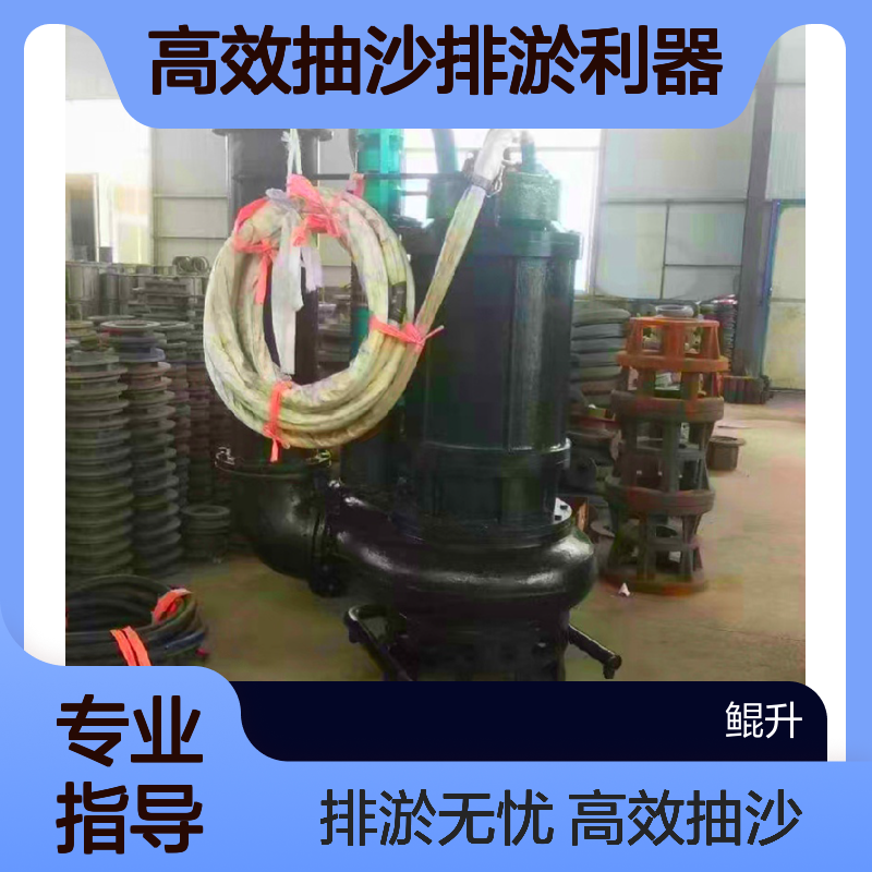 鲲升泵业电动立式潜水抽沙泵 高效抽沙排淤利器