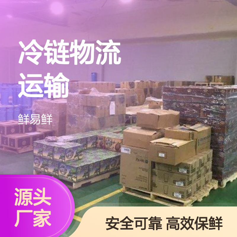 广州鲜易鲜 精品专线 长途运输 冷链物流运输 仓储配送 标准操作
