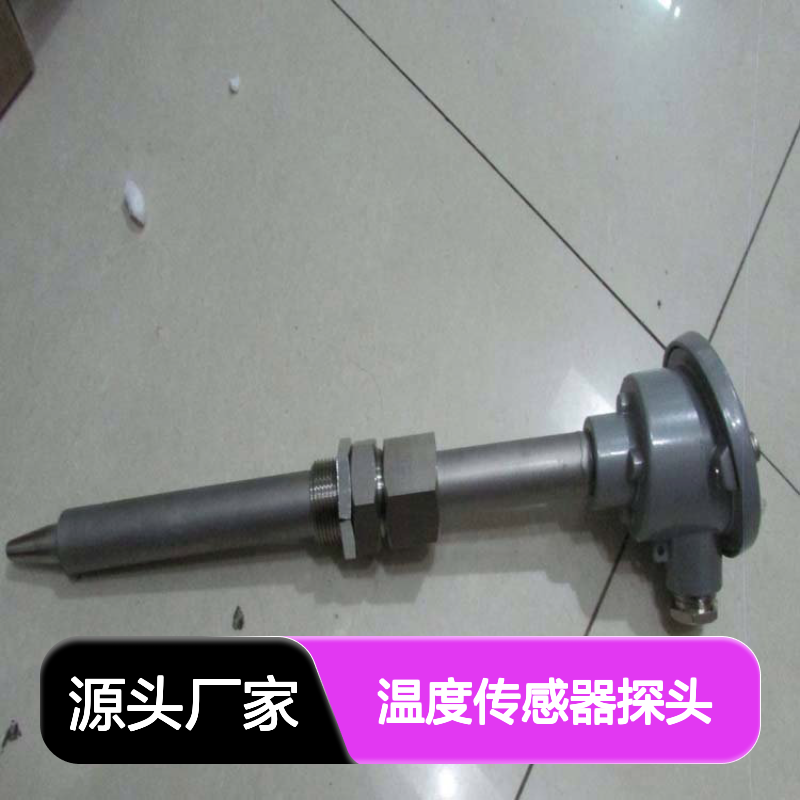 C1-A052/1型号CAPIT热敏电阻式湿敏元件温度传感器探头