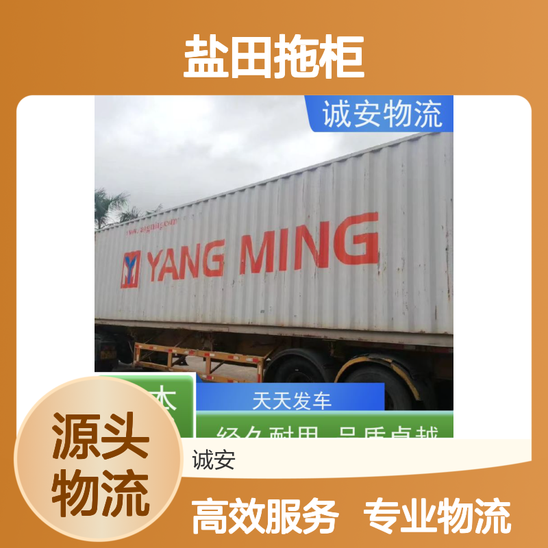诚安物流 12吨车 盐田拖柜 一般贸易买单报关 次日到