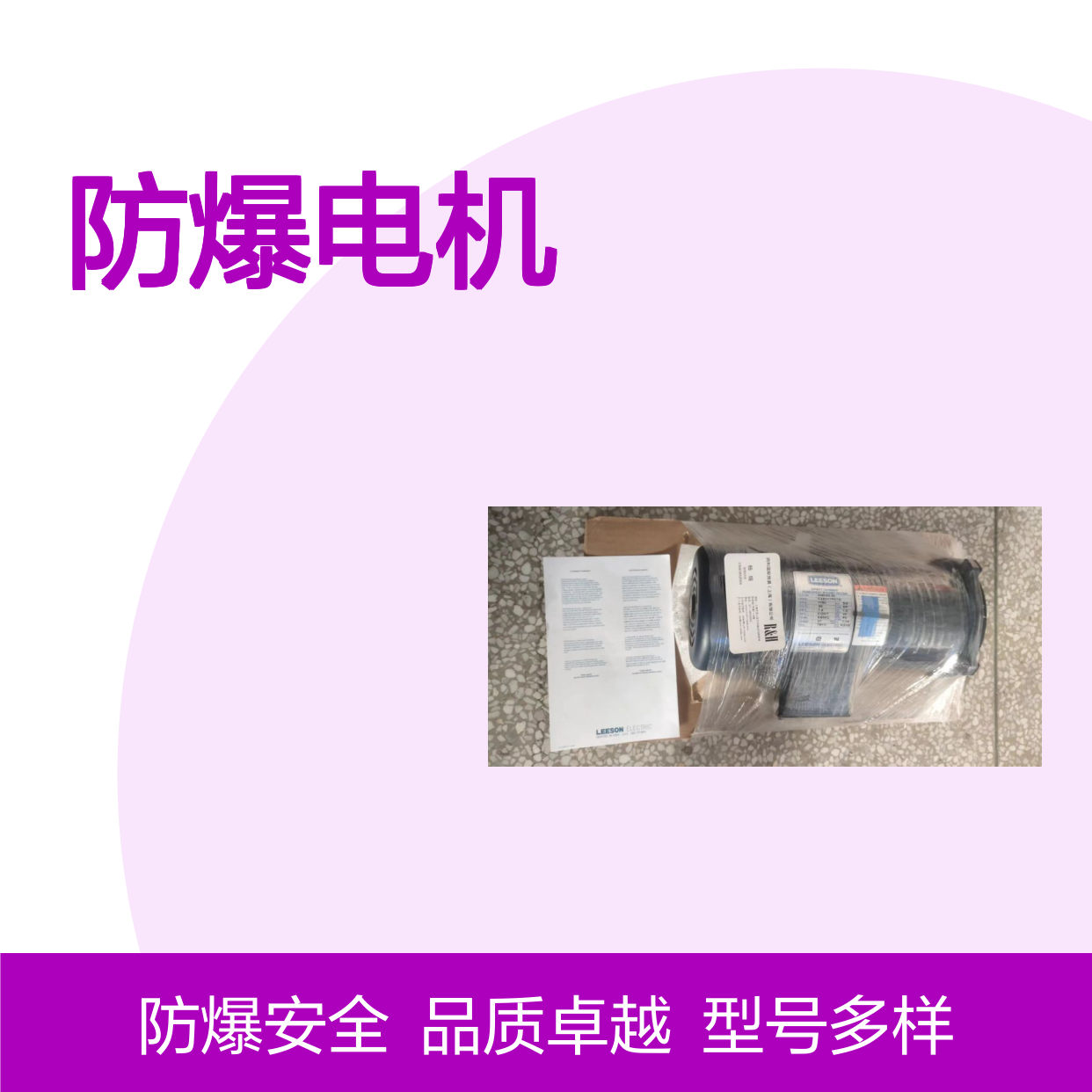LEESON利森防爆电机 C145T17FB59D 高效稳定 防爆