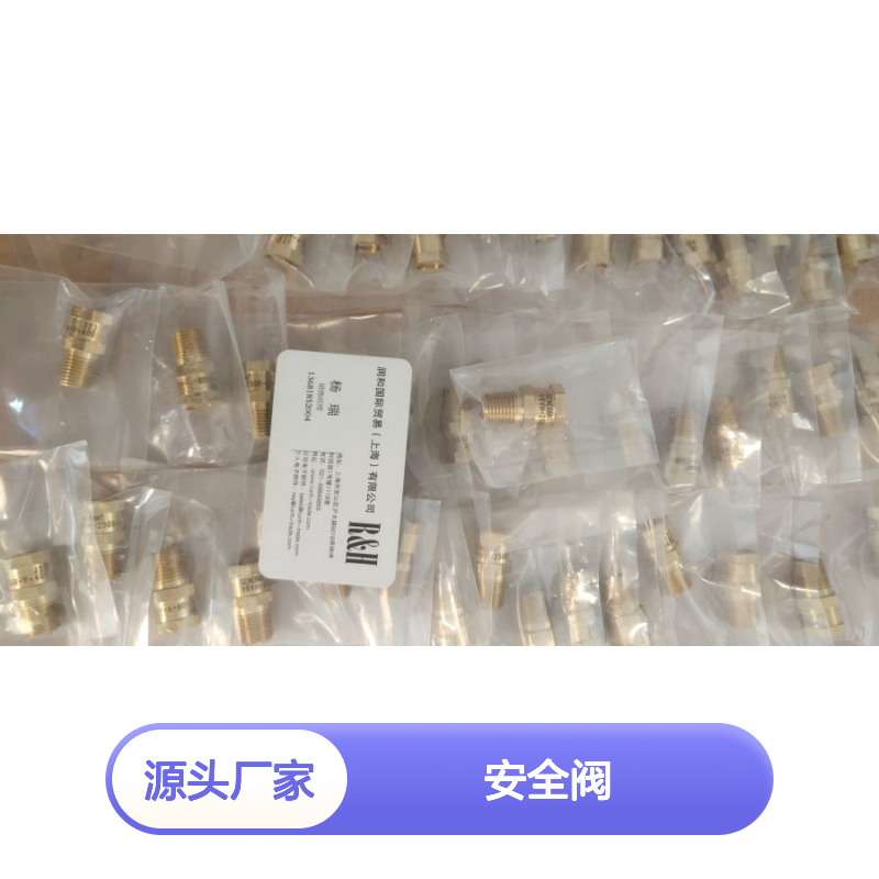 美国GENERANT安全阀 直动式泄压 紧凑设计 工厂预置规格