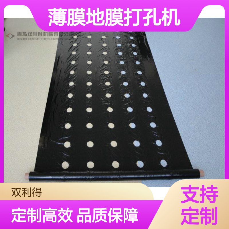 薄膜地膜打孔机生产线根据定制双利得生产塑料打孔设备