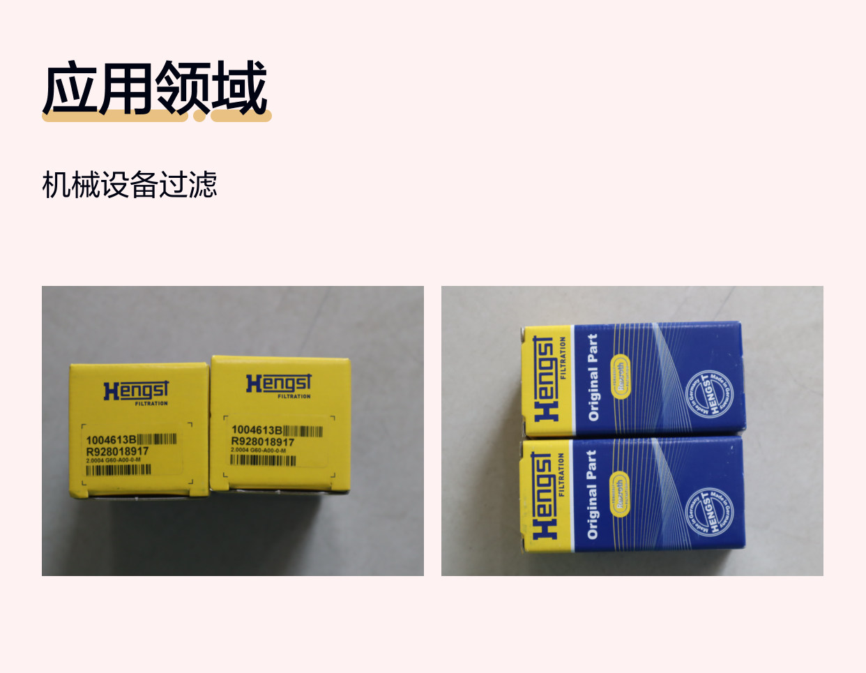 R928018917 2.0004 G60-A00-0-M 1004613B 德国汉格斯特HENGST滤芯