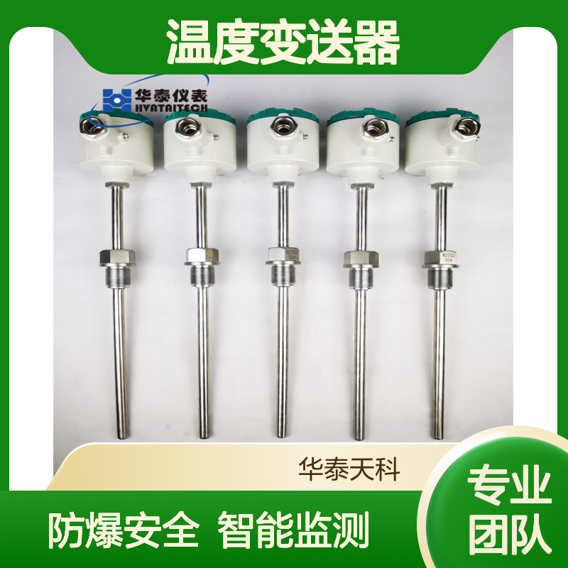 温度变送器 TYCO-1100 防爆型 汽油管道可用 智能测量 连续监测