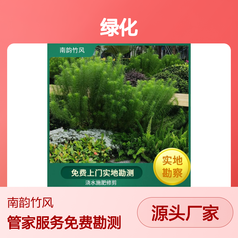 南韵竹风 垂直绿化 园林景观 土壤改良 确定绿化风格和主题