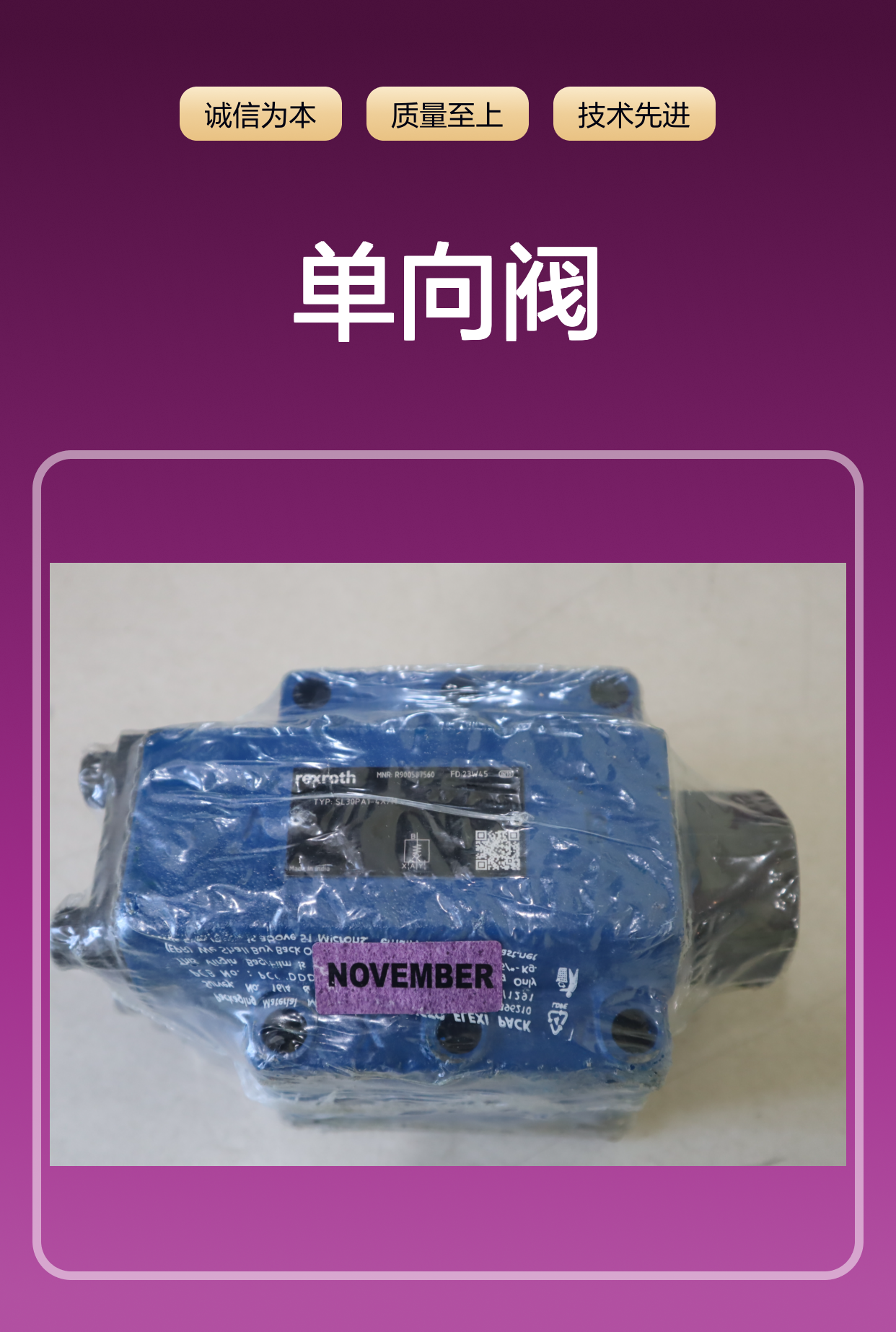 SL30PA1-4X/M SL30PA1-42/M R900587560 德国力士乐REXROTH单向阀