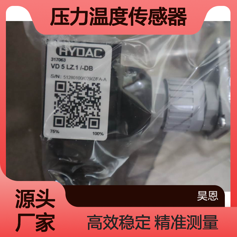 VD5LZ.1/-DB 317063 德国贺德克HYDAC压力开关 压力温度传感器