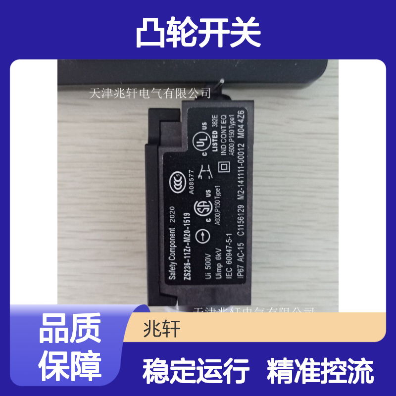 BNS 300-01ZG-2230 2,0M凸轮开关 持续推动 精准控流 稳定运行