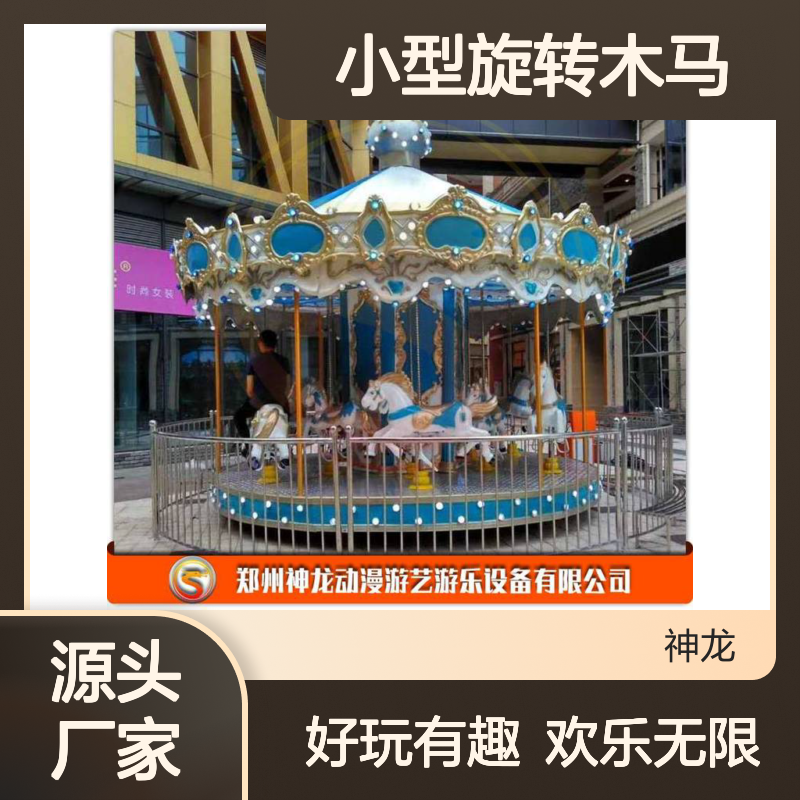 神龙游乐供应 好玩的小型旋转木马XZMM-FS12P 12座转马