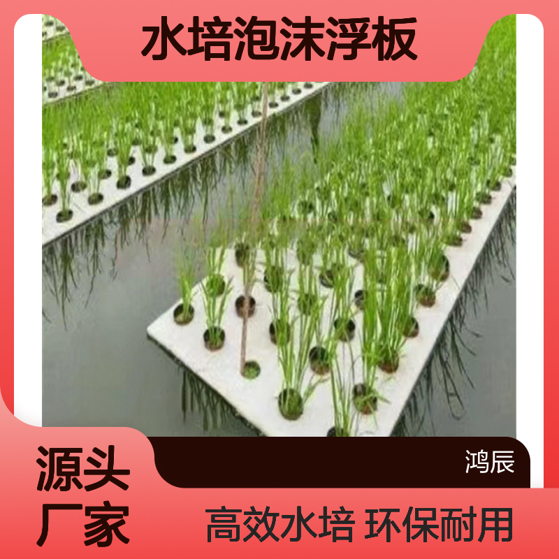 打孔冲型EVA种植浮板 鱼菜共生水培泡沫浮板 环保耐高温耐腐蚀