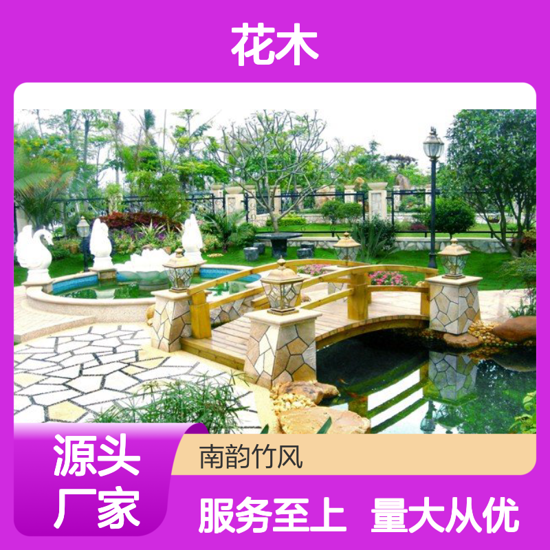 专业花木租赁，南韵竹风提供全程养护 品种多样