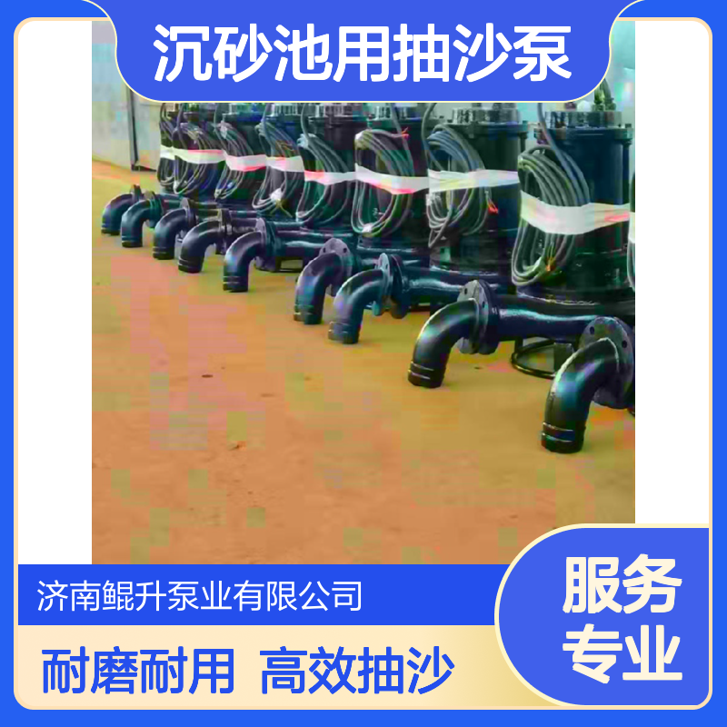 沉砂池用抽沙泵 耐磨材质绞吸泥沙泵 潜水渣浆泵厂家