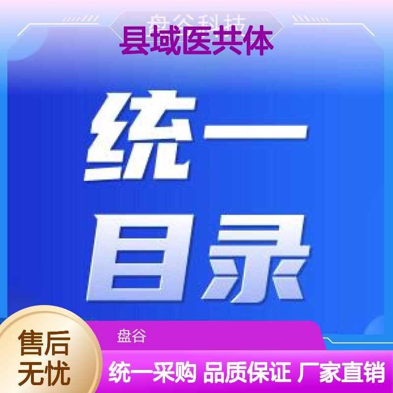 盘谷医疗 运营团队 研发厂商 山东紧密型县域医共体