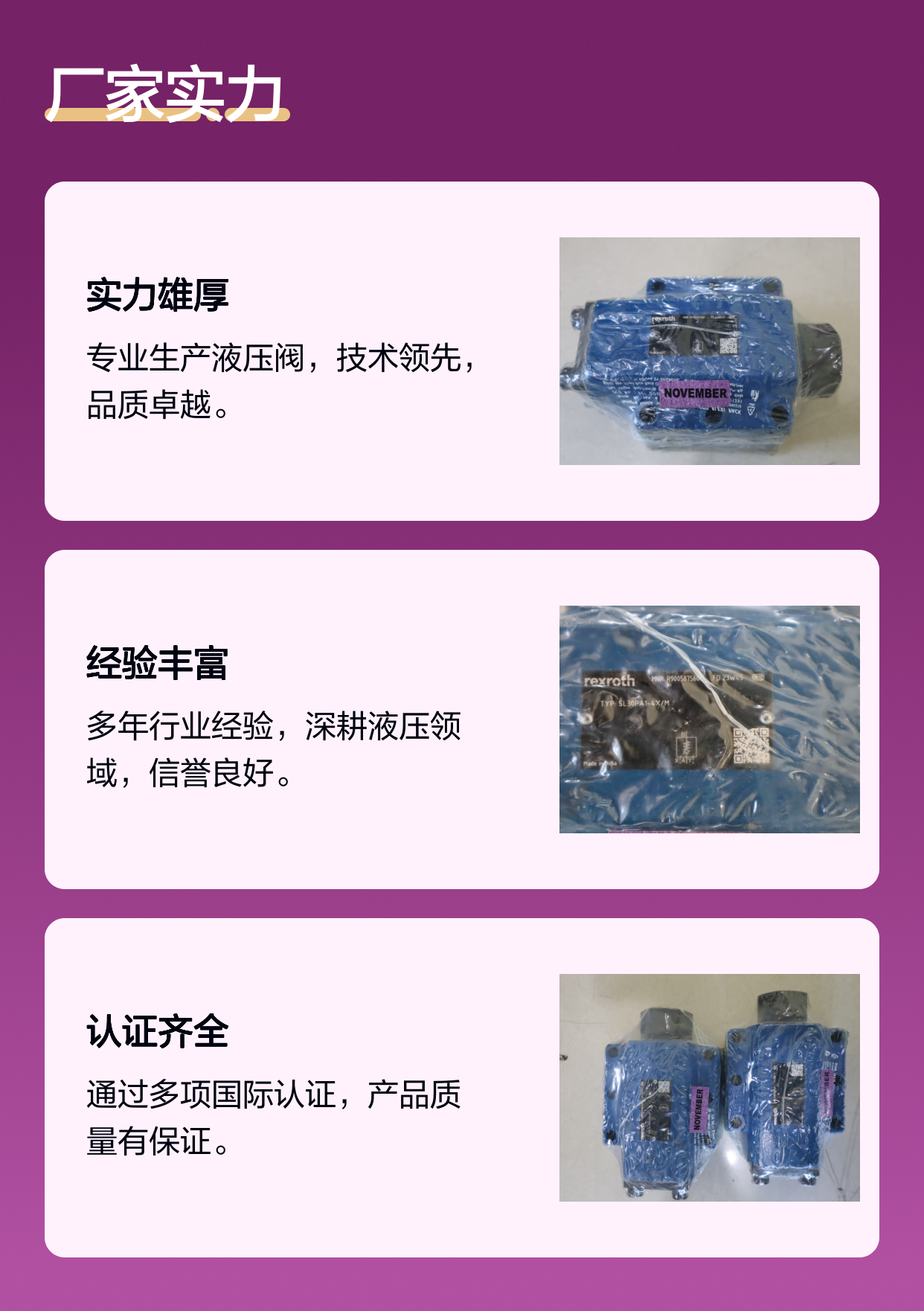 SL30PA1-4X/M SL30PA1-42/M R900587560 德国力士乐REXROTH单向阀