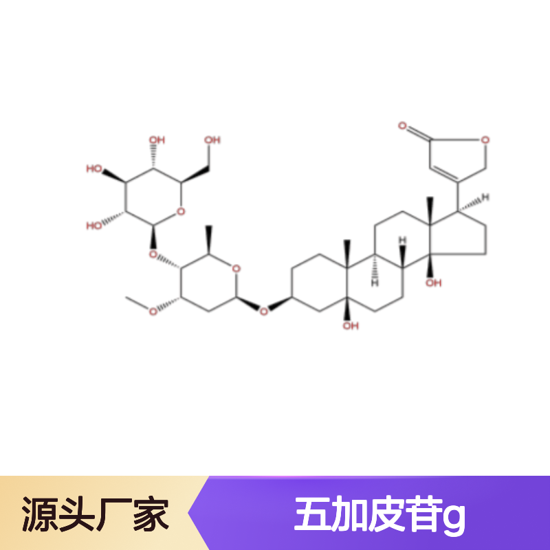 五加皮苷G 13137-64-9 HPLC≥98% 中药对照品 标准品 科研专用现货