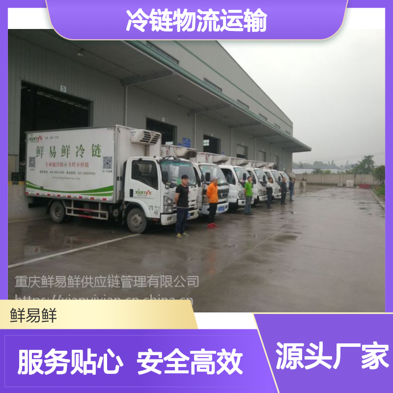 佛山到广州冷冻物流 冷冻生肉 食品生鲜果蔬保鲜 鲜易鲜冷链物流运输