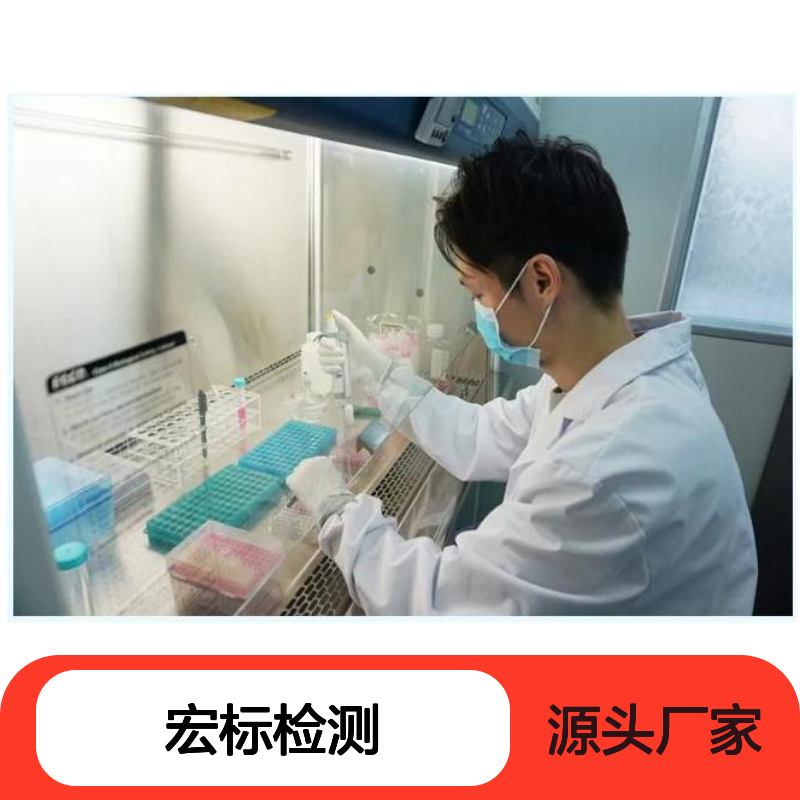 提供抗病毒材料检测服务 空气净化产品检测