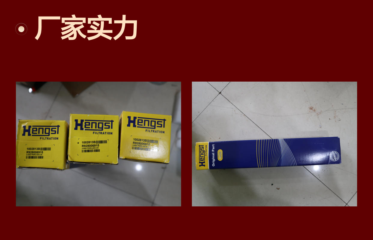 汉格斯特HENGST R928006915过滤器滤芯 10U精度