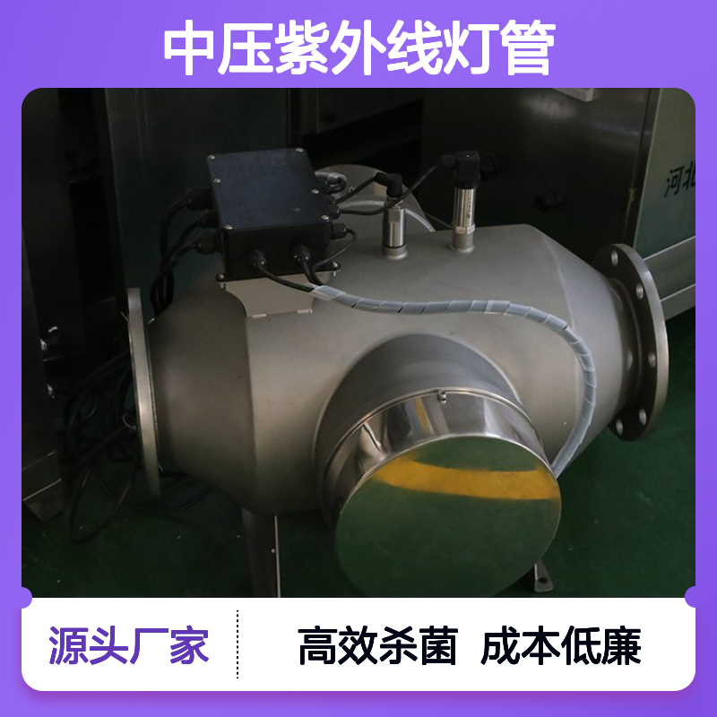 中压紫外线消毒器 高效杀菌设备 无二污染 分解余氯