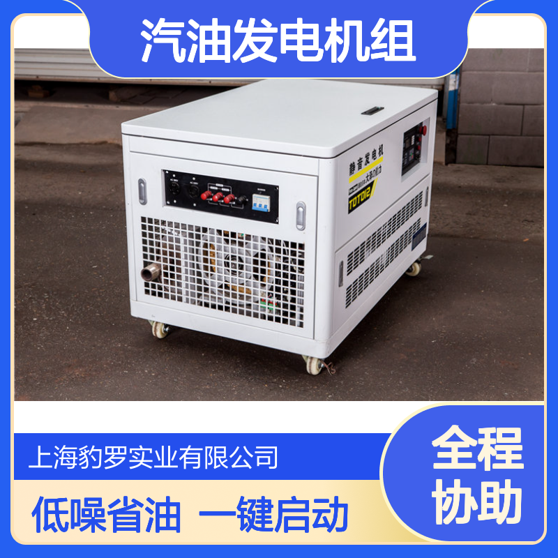 大泽动力静音10kw汽油发电机组三相四线电启动 低噪音无刷免维护
