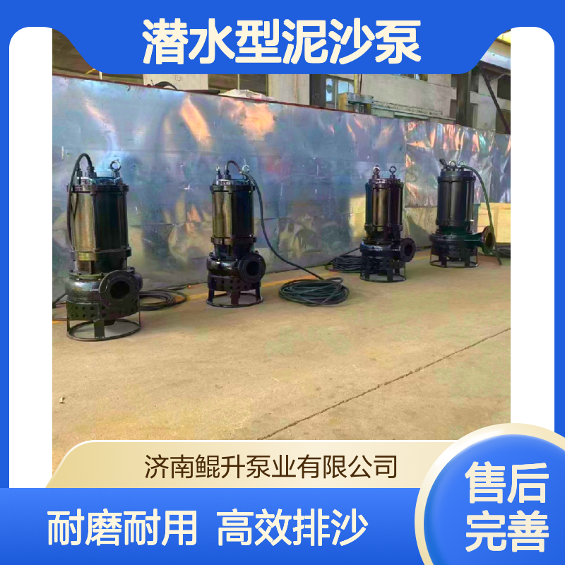 沉降池用潜水排沙泵 耐磨材质潜水型泥沙泵 鲲升泵业 厂家