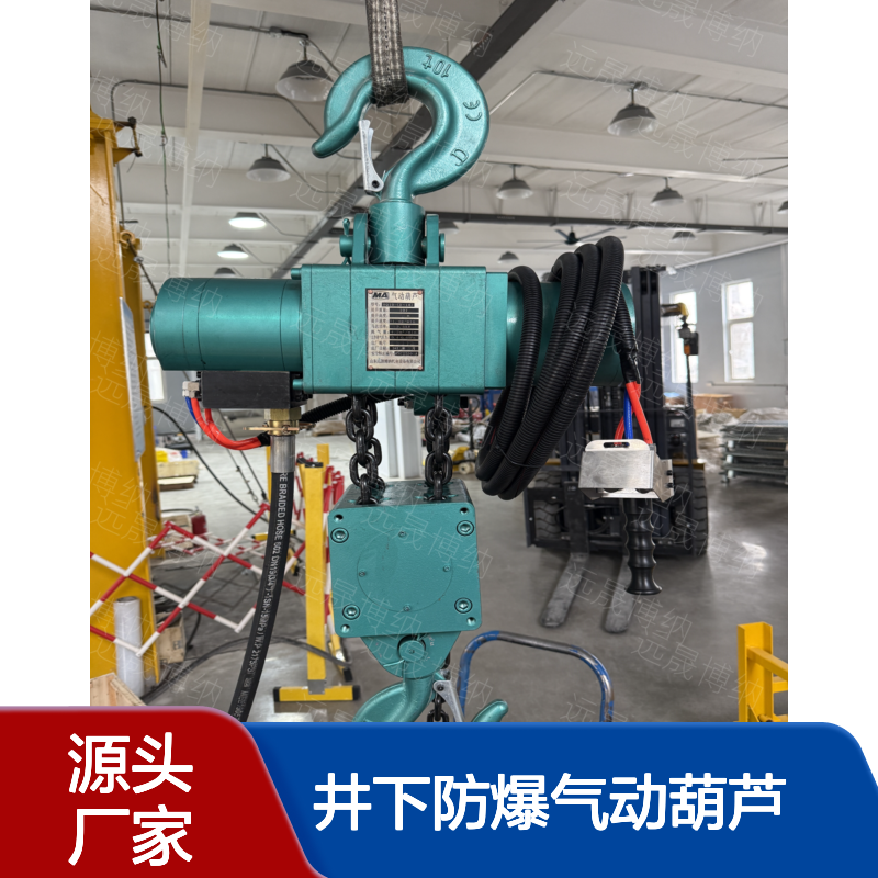 井下防爆气动葫芦 HQ5-（3-16）气动倒链 固定式起重葫芦