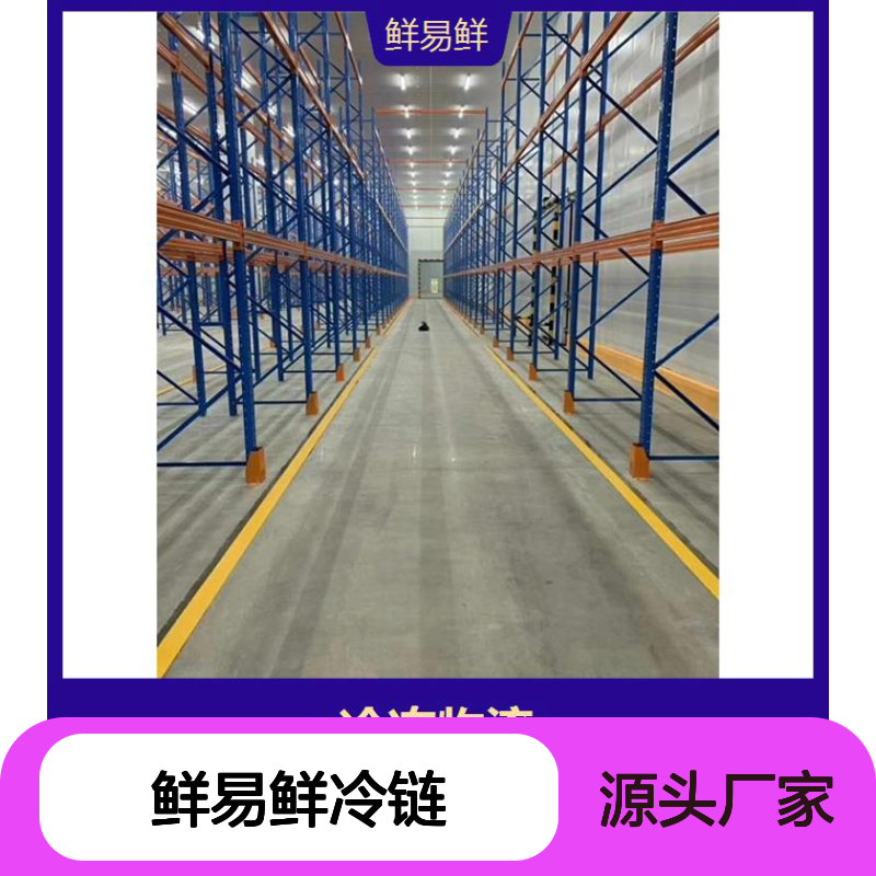 鲜易鲜冷链 广州到福建福州，冷冻物流 冷藏配送 冷链物流标准化