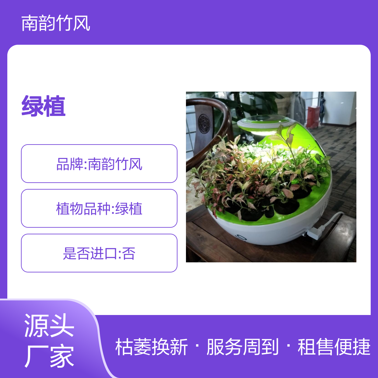 租售盆栽 绿植租摆 免费上门设计 口碑良好 高效服务 定期维护 枯萎换新