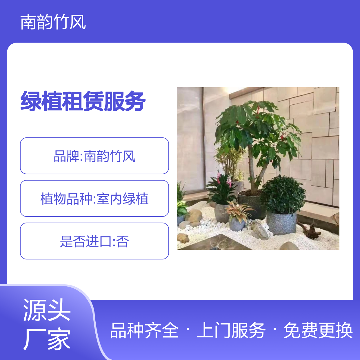 南韵竹风植物养护 绿植租赁服务 免费更换 上门服务 品种多样
