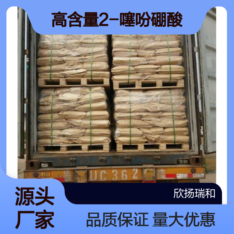 高含量2-噻吩硼酸 工业级原料 6165-68-0 欣扬瑞和99%纯度