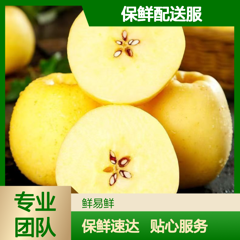 维纳斯黄金苹果冷藏运输 佛山至重庆冷链物流 保鲜配送服务
