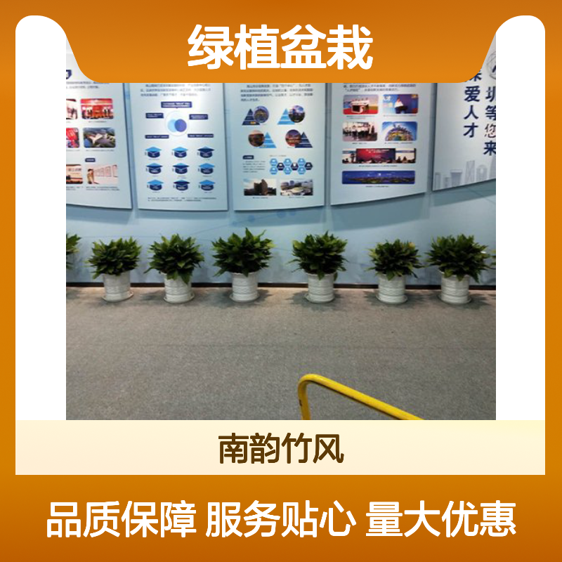 南韵竹风绿植盆栽 承接绿化工程项目 成活率高