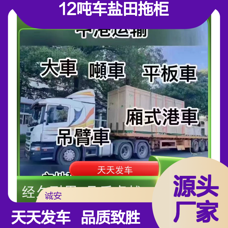 诚安物流12吨车盐田拖柜一般贸易买单报关随时发车