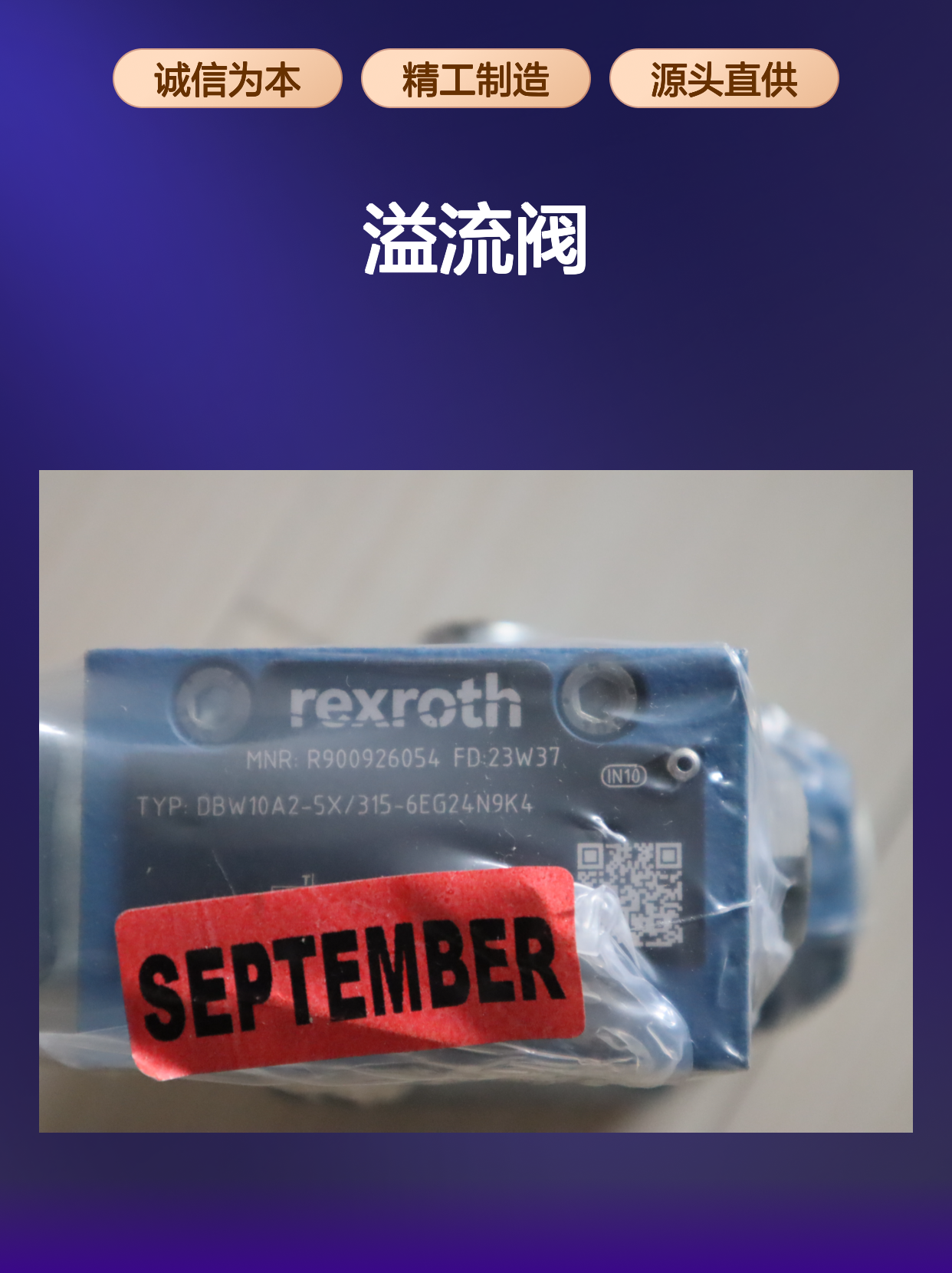 DBW10A2-5X/315-6EG24N9K4 R900926054 德国力士乐REXROTH溢流阀