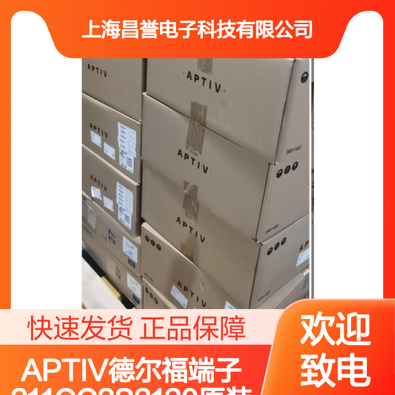 APTIV德尔福端子211CC2S2120 原装正品 国内代理现货直发