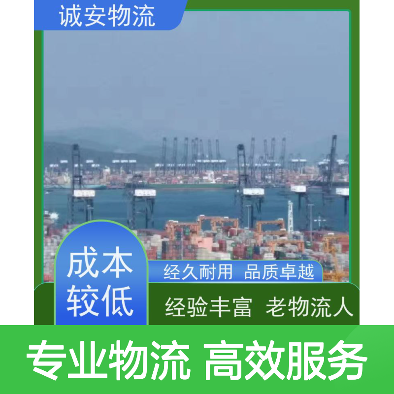 诚安物流 45尺自备柜 广州到澳门 专人跟单 次日到