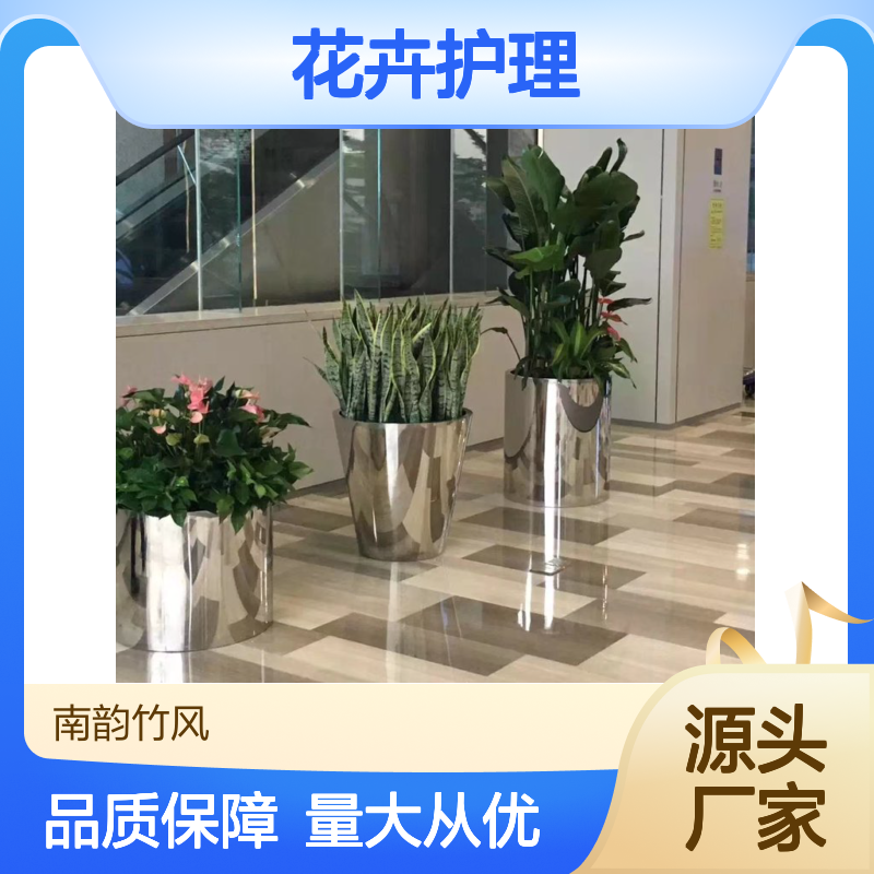 南韵竹风绿植租摆 承接绿化工程服务 成活率高