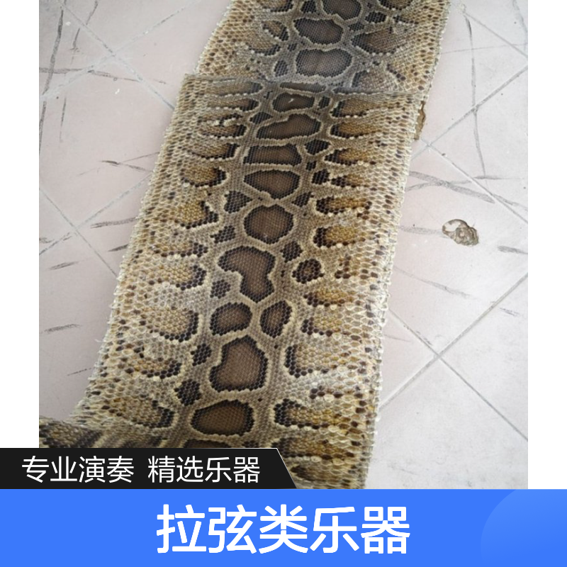 专业演奏级二胡三弦 民族乐器扎木聂冬不拉 拉弦类乐器精选