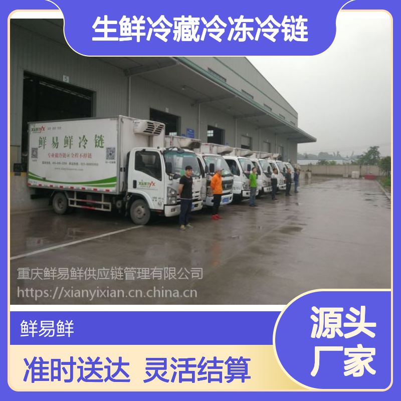 渝BL5383冷链专线 蔬菜海鲜冷藏冷冻运输 专业管理团队