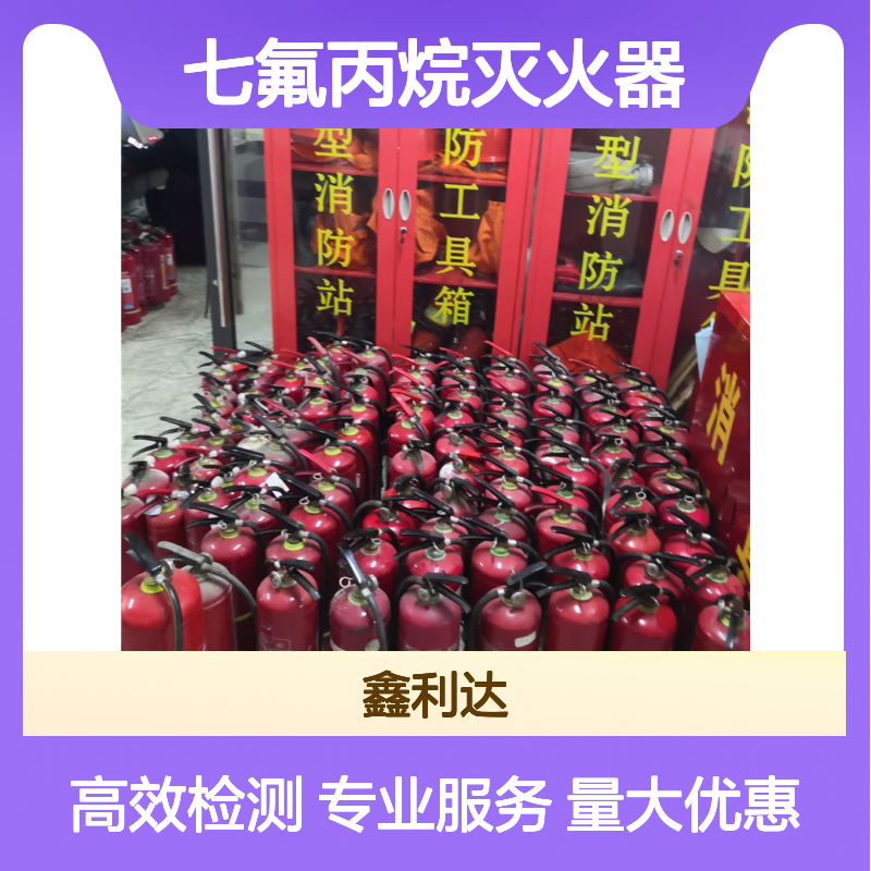 七氟丙烷灭火器 维保检测 专业服务 技术过硬 客户好评