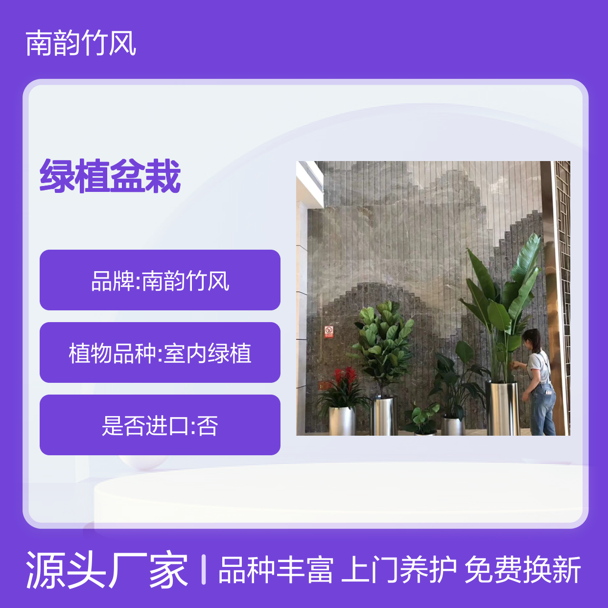 科技园植物出租 公司办公室常见绿植盆栽租赁业务 方便效果好