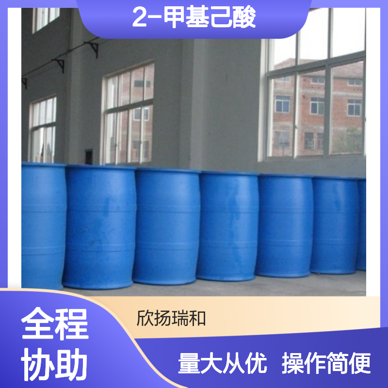 2-甲基己酸 CAS:4536-23-6 高纯度合成材料中间体 化工能源必备
