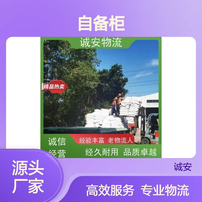 诚安物流 45尺自备柜 佛山到香港 进口报关 次日到