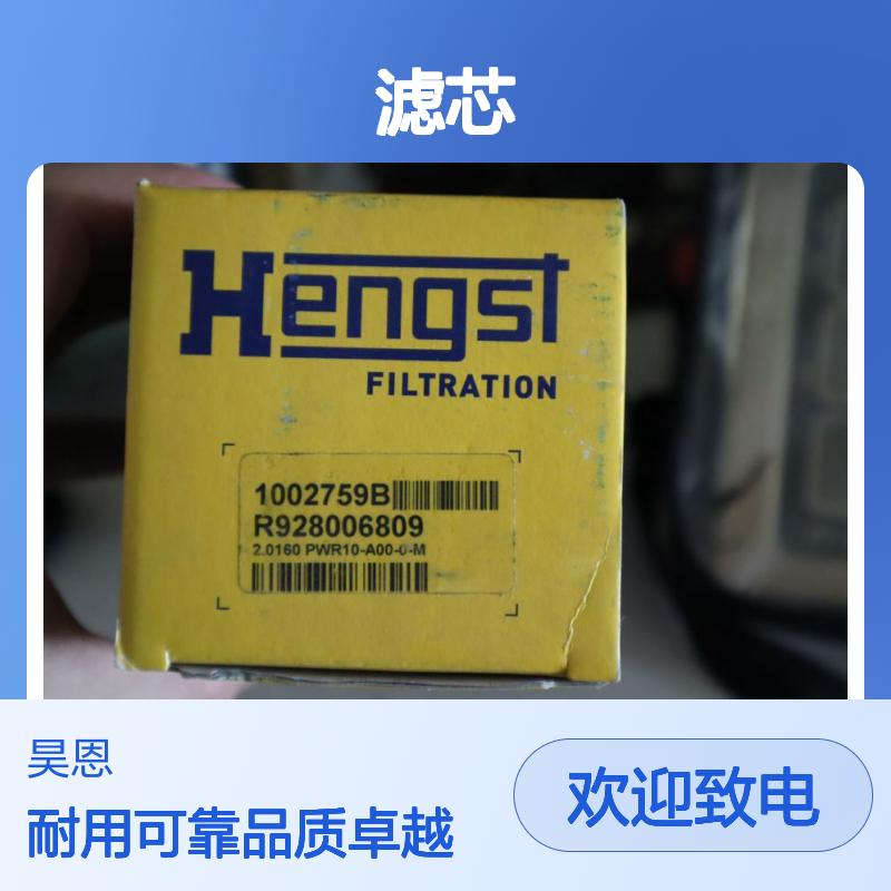 1002759B R928006809 2.0160 PWR10-A00-0-M 德国汉格斯特HENGST滤芯