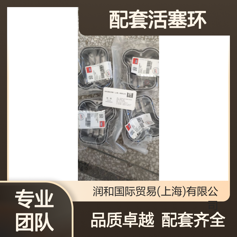 德国Hatz发动机配件， 1B30配套活塞环，喷油嘴